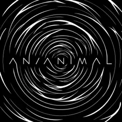 An/Animal by Hurrah! A Bolt of Light! album reviews, ratings, credits