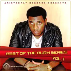 Best of Burn Series, Vol. 1 by Burna Boy album reviews, ratings, credits