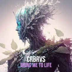 Bring Me To Life - Single by CRBRVS album reviews, ratings, credits