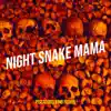 Night Snake Mama - Single album lyrics, reviews, download