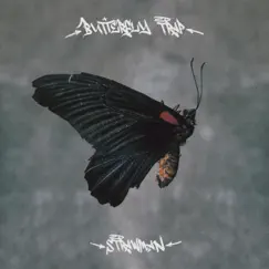 Butterfly Trap by Strawman album reviews, ratings, credits
