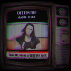 I Had the Noose Around My Neck (feat. Adasho) - Single by CottonTop album reviews, ratings, credits