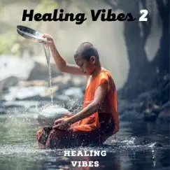 Healing Vibes 2 by Healing Vibes album reviews, ratings, credits