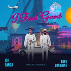 I Feel Good (feat. Tony Sunshine) - Single by Joe Banga album reviews, ratings, credits