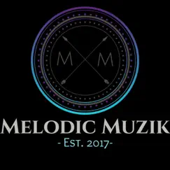 Soul Gumbo (feat. TJ Lavon) - Single by Melodic Muzik album reviews, ratings, credits