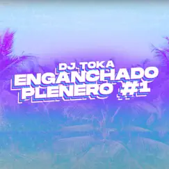 Enganchado Plenero #1 (feat. La Deskarga, La Sandonga, Mariano Bermudez, Marito Davila & Favio Donoban) Song Lyrics