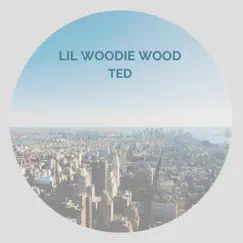 Ted (feat. Derek, Sammie, Yanni, Elyanna, Eno, Elsa, Cool, Hanna, Inez, Fabe & Passi) - Single by Lil Woodie Wood album reviews, ratings, credits