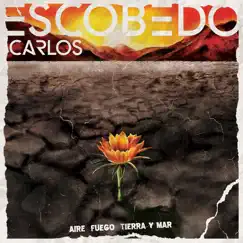 Aire, Fuego, Tierra y Mar - Single by Carlos Escobedo & Sôber album reviews, ratings, credits
