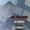 Are You Dumb - Single album lyrics, reviews, download