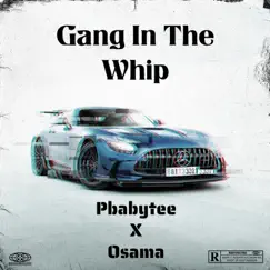 Gang In the Whip (feat. Osama) Song Lyrics