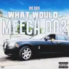 WHAT WOULD MEECH DO - Single album lyrics, reviews, download
