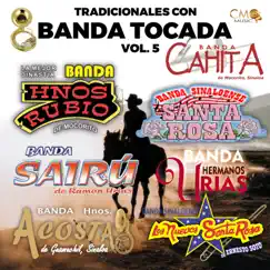 Bandas Tocadas Tradicionales Vol. 5 (feat. Banda Santa Rosa, Banda Cahita, Banda Hermanos Urias & Los Nuevos Santa Rosa) by Banda Hnos Rubio, Banda Sinaloense Hermanos Acosta & Banda Sairu album reviews, ratings, credits