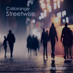 Streetwise - Single by Caliorange album reviews, ratings, credits
