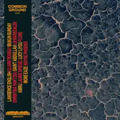 Common Ground, Vol. 1 by Various Artists album reviews, ratings, credits