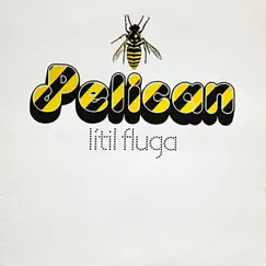 Lítil Fluga by Pelican album reviews, ratings, credits