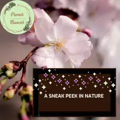 A Sneak Peek in Nature by Calm music & Massage Tribe album reviews, ratings, credits
