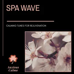 Spa Wave - Calming Tunes for Rejuvenation by Various Artists album reviews, ratings, credits