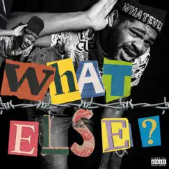 What Else? - Single by A$hon Voyage album reviews, ratings, credits