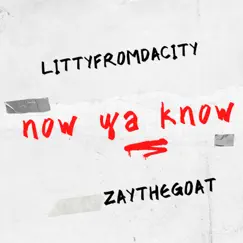 Now ya know (feat. ZayTheGOAT) - Single by Littyfromdacity album reviews, ratings, credits
