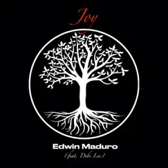 Joy - Single (feat. Debi Lee) - Single by Edwin Maduro album reviews, ratings, credits