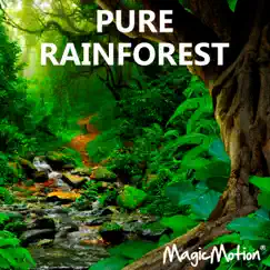 Pure Rainforest by MagicMotion album reviews, ratings, credits