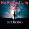No Perfect Life Livin - Single album lyrics, reviews, download