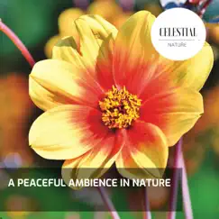 A Peaceful Ambience in Nature by Nature Radiance & Nature Atmospheres album reviews, ratings, credits