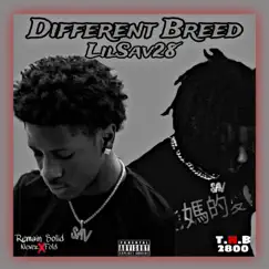 Different Breed Song Lyrics