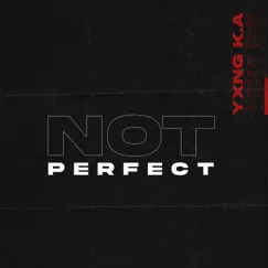 Not Perfect - Single by YXNG K.A album reviews, ratings, credits