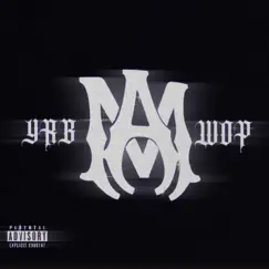 Amiri - Single by YRB WOP album reviews, ratings, credits