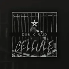 Cellule (feat. Raid) - Single by Diib album reviews, ratings, credits