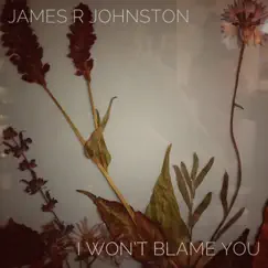 I Won’t Blame You - Single by James R Johnston album reviews, ratings, credits