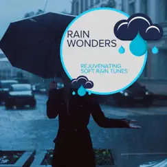 Rain Wonders - Rejuvenating Soft Rain Tunes by Rain Recordings & Everyday Rain Stories album reviews, ratings, credits