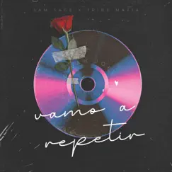 Vamo a repetir (feat. Tribe Mafia) - Single by Sam Sage album reviews, ratings, credits