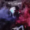 Into the Mist (Kiele Remix) - Single album lyrics, reviews, download