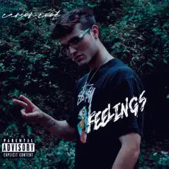 Feelings - Single by Carson Cook album reviews, ratings, credits