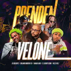 Prenden Velone (feat. Nelly Nelz & Orlando Moreno Feo) - Single by DJ Chulo NYC, El Cherry Scom & Haraca Kiko album reviews, ratings, credits