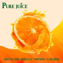 Pure Juice (feat. Dougie Ellis & DJ DollaMenu) Song Lyrics