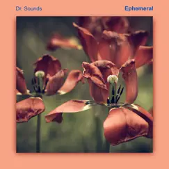 Ephemeral - Single by Dr. Sounds, Alexander Forselius & Buddhaflow album reviews, ratings, credits