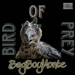 Bird of Prey - EP by BagBoyMonte album reviews, ratings, credits