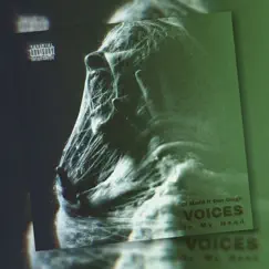Voices (feat. Dan Diego) Song Lyrics