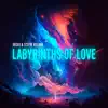 Labyrinths of Love - Single album lyrics, reviews, download