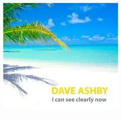 I Can See Clearly Now (Jamaica-Beachbar-RMX) - Single by Dave Ashby album reviews, ratings, credits