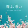 Haruyokoi Music Box Collection album lyrics, reviews, download