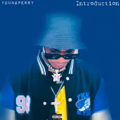 Introduction - Single by YoungPerry album reviews, ratings, credits