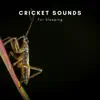 Cricket Sounds for Sleeping album lyrics, reviews, download