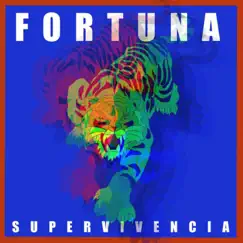 Drunky Tonk - Single by Fortuna album reviews, ratings, credits