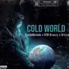 Cold World (feat. Haylie Nichole & Rsn Brzy) - Single album lyrics, reviews, download