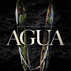 Agua (feat. D'Mingo) - Single by Richy Rich album reviews, ratings, credits