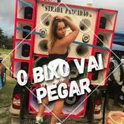 O BIXO VAI PEGAR Song Lyrics
